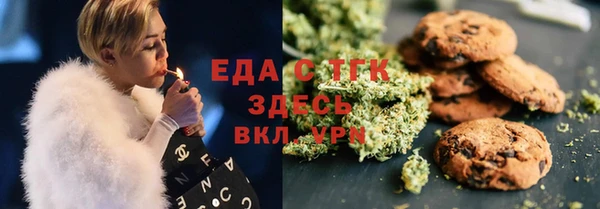ECSTASY Алзамай