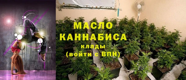 молекула духа Алексеевка