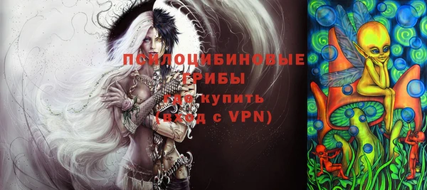 молекула духа Алексеевка