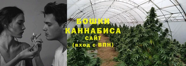 молекула духа Алексеевка