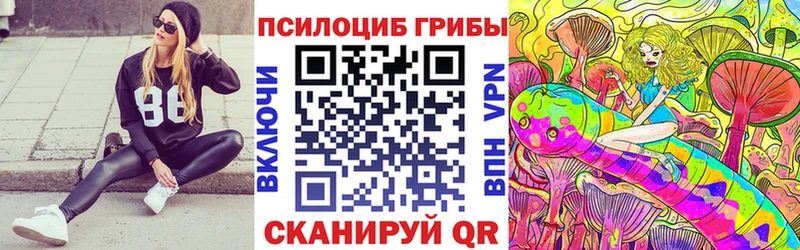 Галлюциногенные грибы Psilocybine cubensis  Тейково 